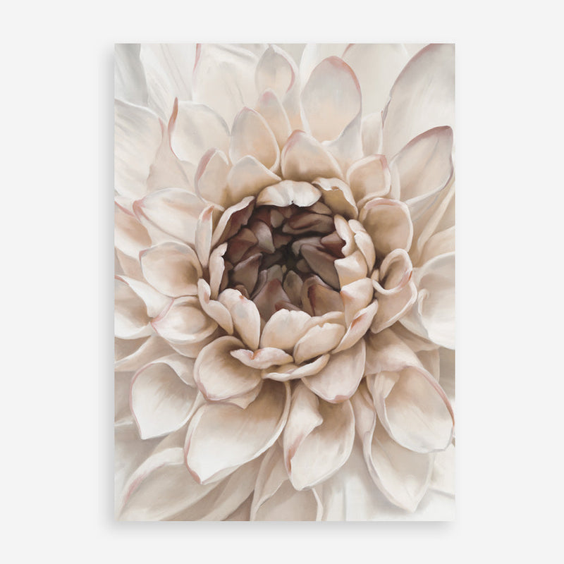 Shop Divine Dahlia IV Art Print a floral themed painted wall art print from The Print Emporium wall artwork collection - Buy Australian made fine art painting style poster and framed prints for the home and your interior decor room, TPE-495-AP