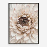 Shop Divine Dahlia IV Art Print a floral themed painted wall art print from The Print Emporium wall artwork collection - Buy Australian made fine art painting style poster and framed prints for the home and your interior decor room, TPE-495-AP