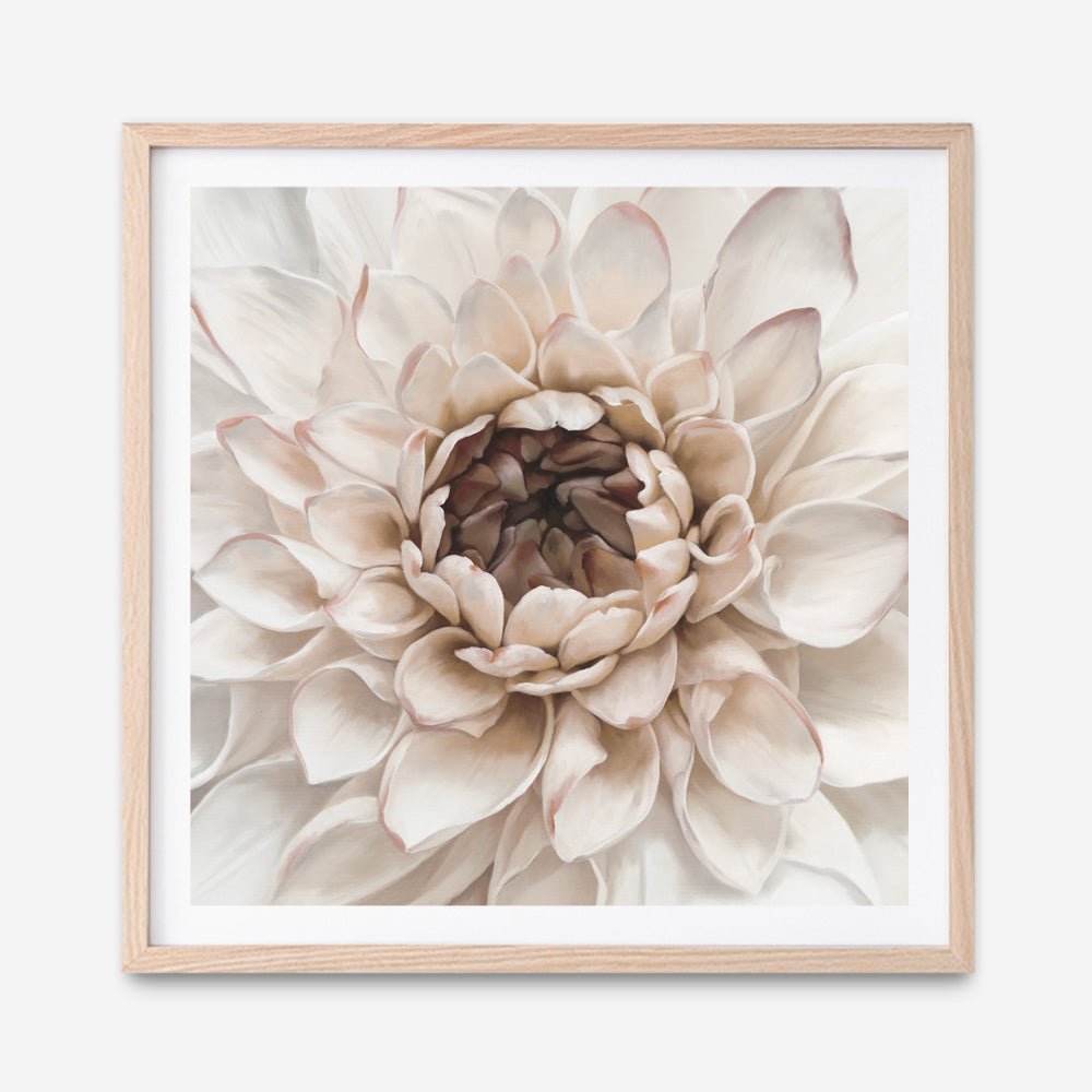 Shop Divine Dahlia IV (Square) Art Print a floral themed painted wall art print from The Print Emporium wall artwork collection - Buy Australian made fine art painting style poster and framed prints for the home and your interior decor room, TPE-496-AP