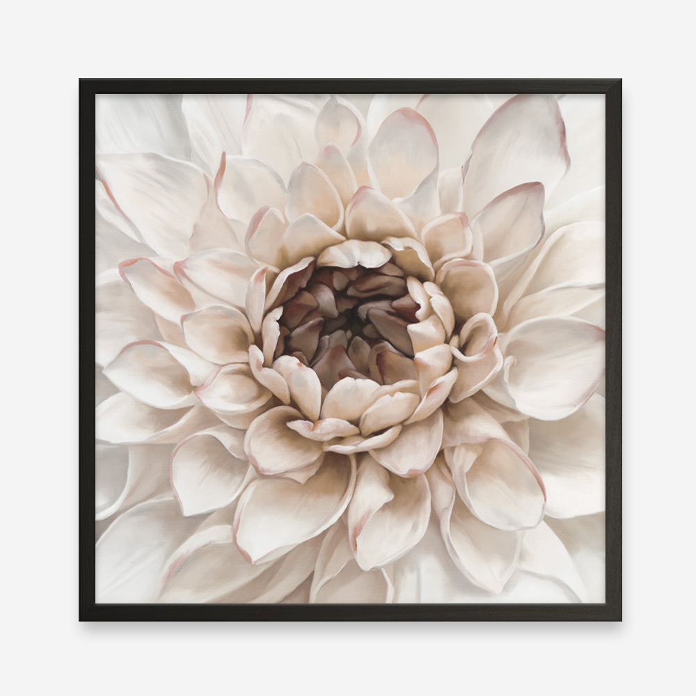 Shop Divine Dahlia IV (Square) Art Print a floral themed painted wall art print from The Print Emporium wall artwork collection - Buy Australian made fine art painting style poster and framed prints for the home and your interior decor room, TPE-496-AP