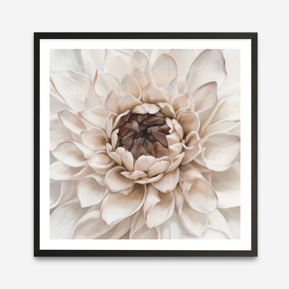 Shop Divine Dahlia IV (Square) Art Print a floral themed painted wall art print from The Print Emporium wall artwork collection - Buy Australian made fine art painting style poster and framed prints for the home and your interior decor room, TPE-496-AP