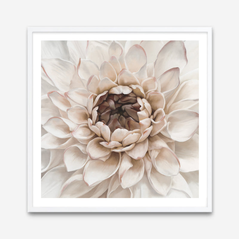 Shop Divine Dahlia IV (Square) Art Print a floral themed painted wall art print from The Print Emporium wall artwork collection - Buy Australian made fine art painting style poster and framed prints for the home and your interior decor room, TPE-496-AP