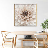 Shop Divine Dahlia IV (Square) Canvas Print a floral themed painted framed canvas wall art print from The Print Emporium artwork collection - Buy Australian made fine art painting style stretched canvas prints for the home and your interior decor space, TPE-496-CA-40X40-NF