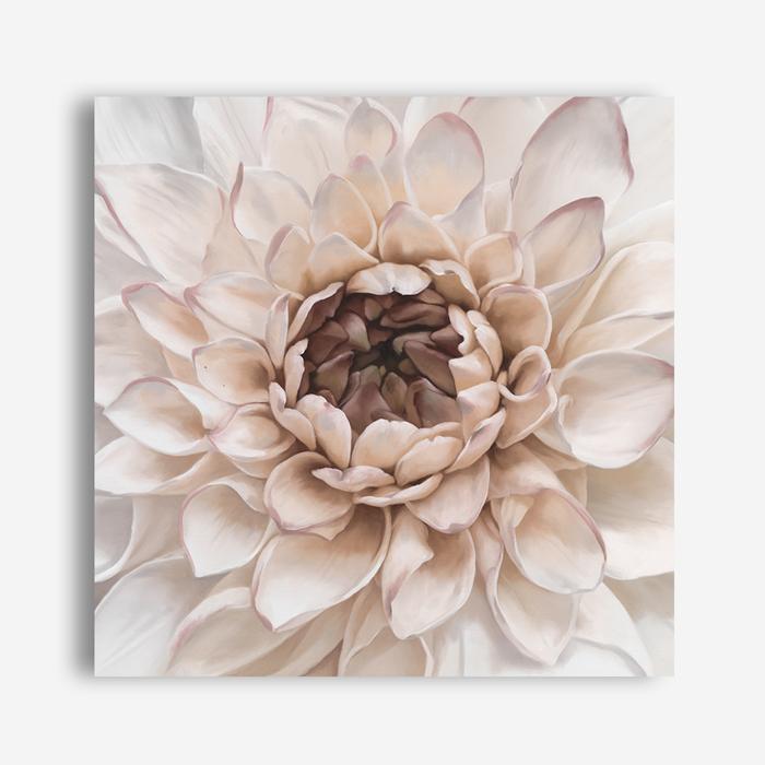 Shop Divine Dahlia IV (Square) Canvas Print a floral themed painted framed canvas wall art print from The Print Emporium artwork collection - Buy Australian made fine art painting style stretched canvas prints for the home and your interior decor space, TPE-496-CA-40X40-NF