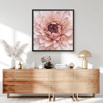 Shop Divine Dahlia (Square) Art Print a floral themed painted wall art print from The Print Emporium wall artwork collection - Buy Australian made fine art painting style poster and framed prints for the home and your interior decor room, TPE-205-AP