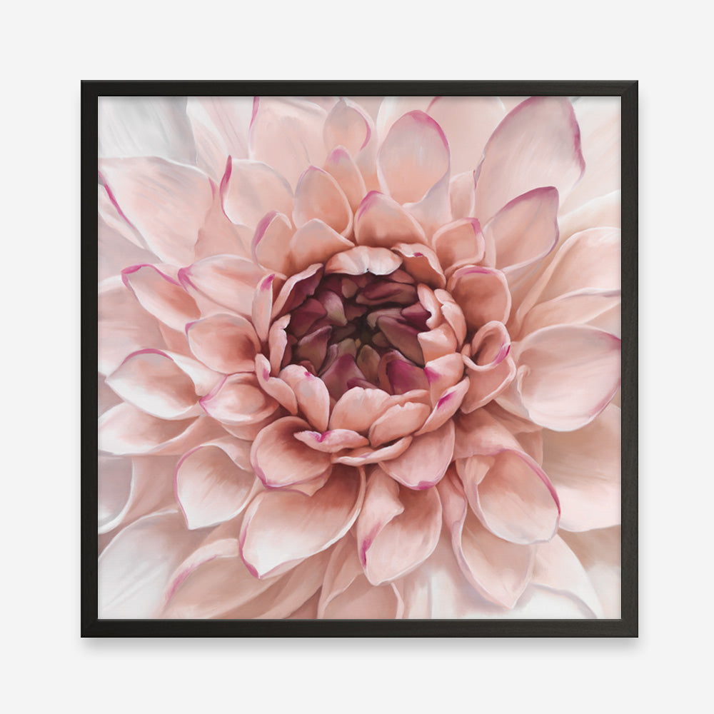 Shop Divine Dahlia (Square) Art Print a floral themed painted wall art print from The Print Emporium wall artwork collection - Buy Australian made fine art painting style poster and framed prints for the home and your interior decor room, TPE-205-AP