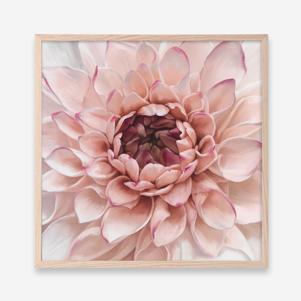 Shop Divine Dahlia (Square) Art Print a floral themed painted wall art print from The Print Emporium wall artwork collection - Buy Australian made fine art painting style poster and framed prints for the home and your interior decor room, TPE-205-AP