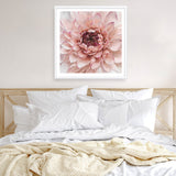 Shop Divine Dahlia (Square) Art Print a floral themed painted wall art print from The Print Emporium wall artwork collection - Buy Australian made fine art painting style poster and framed prints for the home and your interior decor room, TPE-205-AP