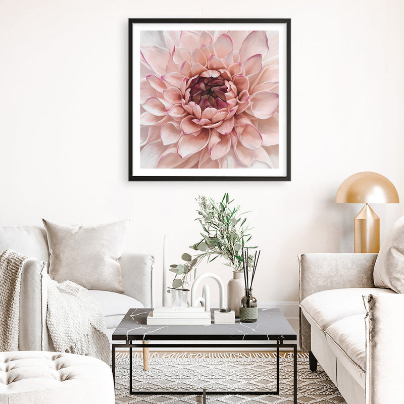 Shop Divine Dahlia (Square) Art Print a floral themed painted wall art print from The Print Emporium wall artwork collection - Buy Australian made fine art painting style poster and framed prints for the home and your interior decor room, TPE-205-AP