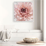 Shop Divine Dahlia (Square) Canvas Print a floral themed painted framed canvas wall art print from The Print Emporium artwork collection - Buy Australian made fine art painting style stretched canvas prints for the home and your interior decor space, TPE-205-CA-40X40-NF
