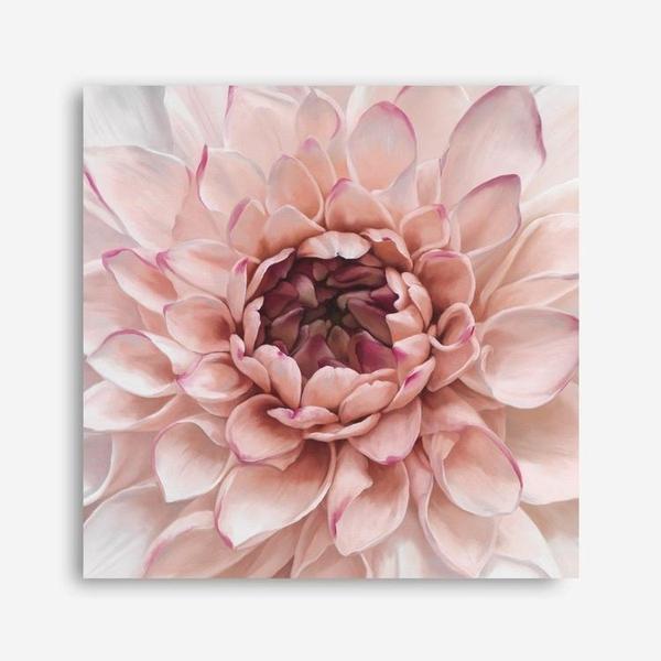 Shop Divine Dahlia (Square) Canvas Print a floral themed painted framed canvas wall art print from The Print Emporium artwork collection - Buy Australian made fine art painting style stretched canvas prints for the home and your interior decor space, TPE-205-CA-40X40-NF