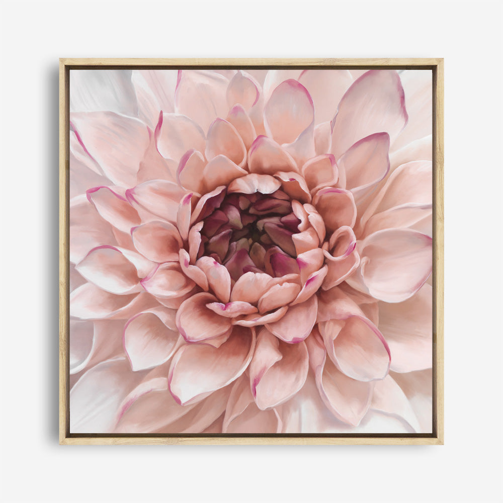 Shop Divine Dahlia (Square) Canvas Print a floral themed painted framed canvas wall art print from The Print Emporium artwork collection - Buy Australian made fine art painting style stretched canvas prints for the home and your interior decor space, TPE-205-CA-40X40-NF