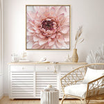 Shop Divine Dahlia (Square) Canvas Print a floral themed painted framed canvas wall art print from The Print Emporium artwork collection - Buy Australian made fine art painting style stretched canvas prints for the home and your interior decor space, TPE-205-CA-40X40-NF