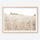 Shop Dried Flower Field Photo Art Print a coastal themed photography wall art print from The Print Emporium wall artwork collection - Buy Australian made fine art poster and framed prints for the home and your interior decor, TPE-919-AP