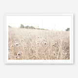 Shop Dried Flower Field Photo Art Print a coastal themed photography wall art print from The Print Emporium wall artwork collection - Buy Australian made fine art poster and framed prints for the home and your interior decor, TPE-919-AP