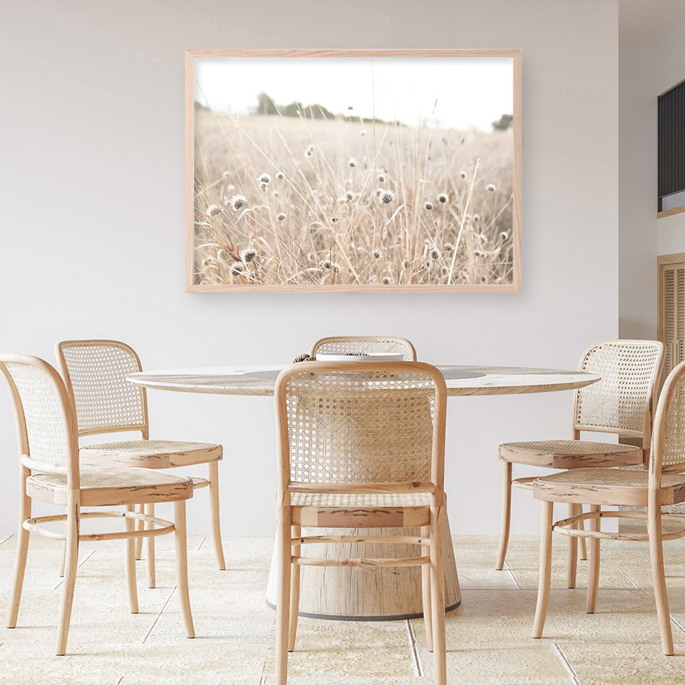 Shop Dried Flower Field Photo Art Print a coastal themed photography wall art print from The Print Emporium wall artwork collection - Buy Australian made fine art poster and framed prints for the home and your interior decor, TPE-919-AP
