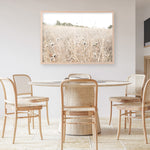 Shop Dried Flower Field Photo Art Print a coastal themed photography wall art print from The Print Emporium wall artwork collection - Buy Australian made fine art poster and framed prints for the home and your interior decor, TPE-919-AP