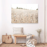 Shop Dried Flower Field Photo Canvas Print a coastal themed photography framed stretched canvas print from The Print Emporium wall artwork collection - Buy Australian made prints for the home and your interior decor space, TPE-919-CA-35X46-NF