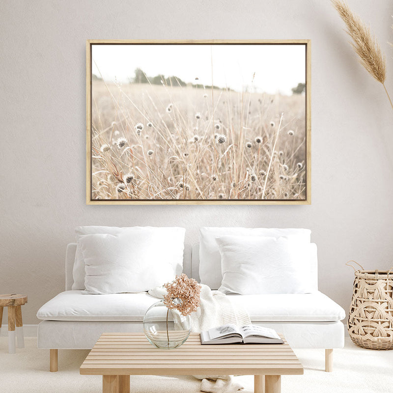 Shop Dried Flower Field Photo Canvas Print a coastal themed photography framed stretched canvas print from The Print Emporium wall artwork collection - Buy Australian made prints for the home and your interior decor space, TPE-919-CA-35X46-NF