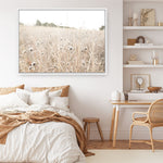 Shop Dried Flower Field Photo Canvas Print a coastal themed photography framed stretched canvas print from The Print Emporium wall artwork collection - Buy Australian made prints for the home and your interior decor space, TPE-919-CA-35X46-NF
