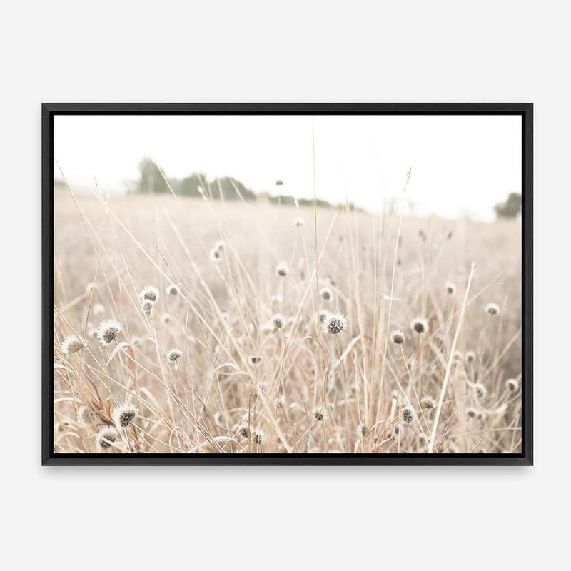 Shop Dried Flower Field Photo Canvas Print a coastal themed photography framed stretched canvas print from The Print Emporium wall artwork collection - Buy Australian made prints for the home and your interior decor space, TPE-919-CA-35X46-NF