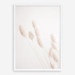 Shop Dried Flowers Photo Art Print a coastal themed photography wall art print from The Print Emporium wall artwork collection - Buy Australian made fine art poster and framed prints for the home and your interior decor, TPE-1124-AP