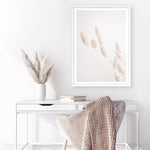 Shop Dried Flowers Photo Art Print a coastal themed photography wall art print from The Print Emporium wall artwork collection - Buy Australian made fine art poster and framed prints for the home and your interior decor, TPE-1124-AP