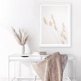 Shop Dried Flowers Photo Art Print a coastal themed photography wall art print from The Print Emporium wall artwork collection - Buy Australian made fine art poster and framed prints for the home and your interior decor, TPE-1124-AP