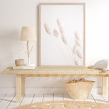 Shop Dried Flowers Photo Art Print a coastal themed photography wall art print from The Print Emporium wall artwork collection - Buy Australian made fine art poster and framed prints for the home and your interior decor, TPE-1124-AP