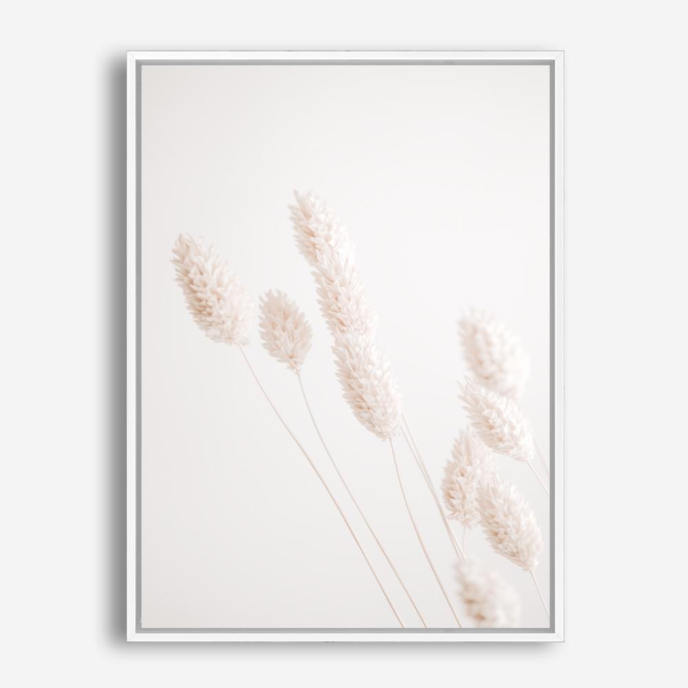 Shop Dried Flowers Photo Canvas Print a coastal themed photography framed stretched canvas print from The Print Emporium wall artwork collection - Buy Australian made prints for the home and your interior decor space, TPE-1124-CA-35X46-NF