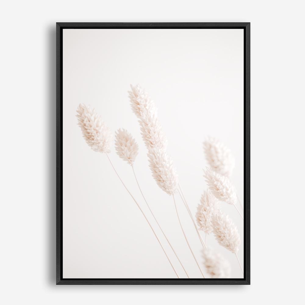 Shop Dried Flowers Photo Canvas Print a coastal themed photography framed stretched canvas print from The Print Emporium wall artwork collection - Buy Australian made prints for the home and your interior decor space, TPE-1124-CA-35X46-NF