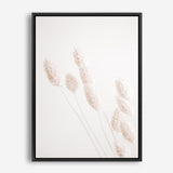 Shop Dried Flowers Photo Canvas Print a coastal themed photography framed stretched canvas print from The Print Emporium wall artwork collection - Buy Australian made prints for the home and your interior decor space, TPE-1124-CA-35X46-NF