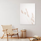 Shop Dried Flowers Photo Canvas Print a coastal themed photography framed stretched canvas print from The Print Emporium wall artwork collection - Buy Australian made prints for the home and your interior decor space, TPE-1124-CA-35X46-NF