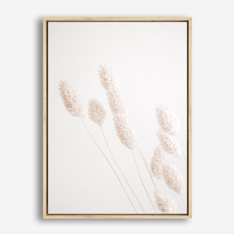 Shop Dried Flowers Photo Canvas Print a coastal themed photography framed stretched canvas print from The Print Emporium wall artwork collection - Buy Australian made prints for the home and your interior decor space, TPE-1124-CA-35X46-NF