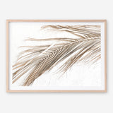 Shop Dried Palm Leaf I Photo Art Print a coastal themed photography wall art print from The Print Emporium wall artwork collection - Buy Australian made fine art poster and framed prints for the home and your interior decor, TPE-1234-AP