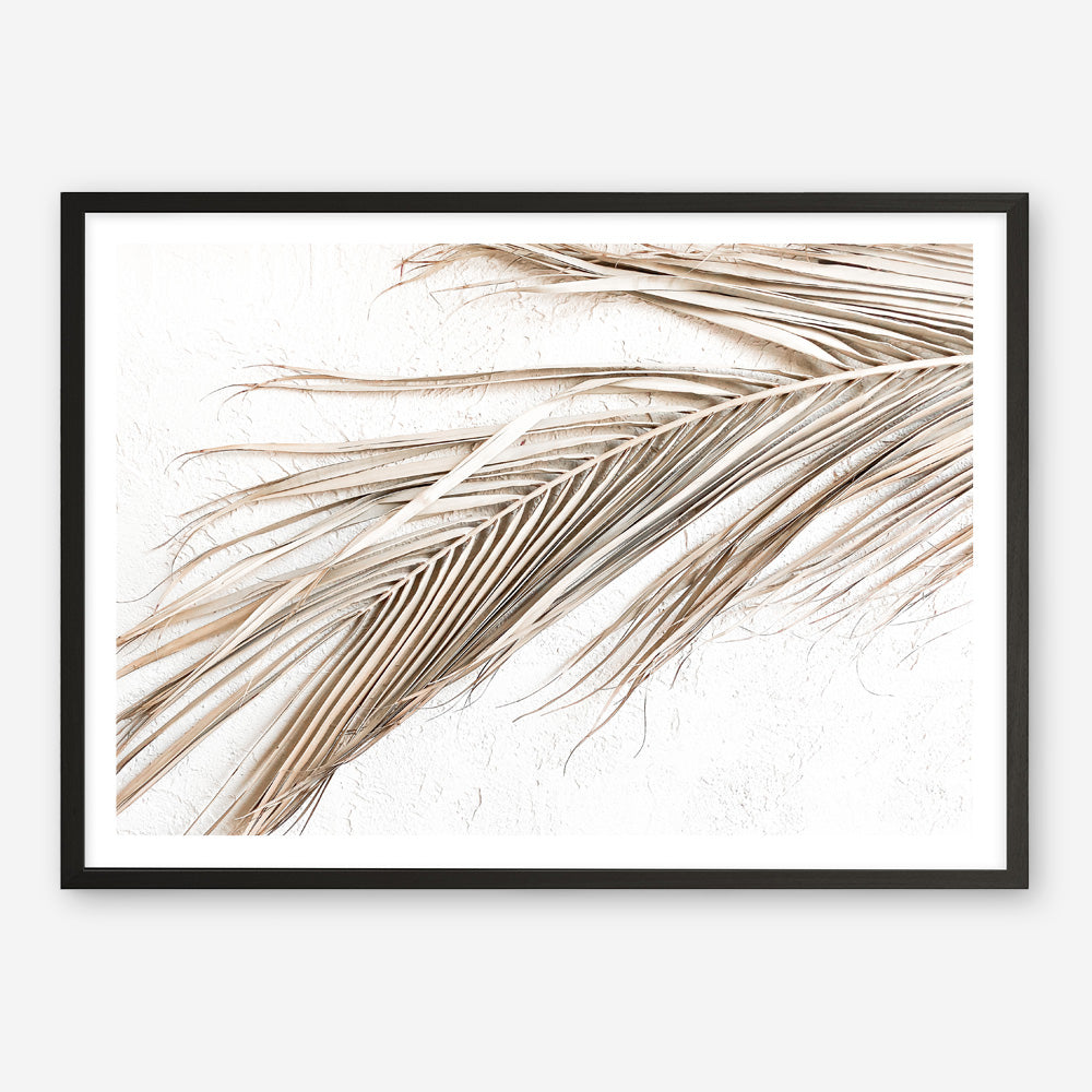 Shop Dried Palm Leaf I Photo Art Print a coastal themed photography wall art print from The Print Emporium wall artwork collection - Buy Australian made fine art poster and framed prints for the home and your interior decor, TPE-1234-AP