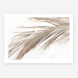 Shop Dried Palm Leaf I Photo Art Print a coastal themed photography wall art print from The Print Emporium wall artwork collection - Buy Australian made fine art poster and framed prints for the home and your interior decor, TPE-1234-AP