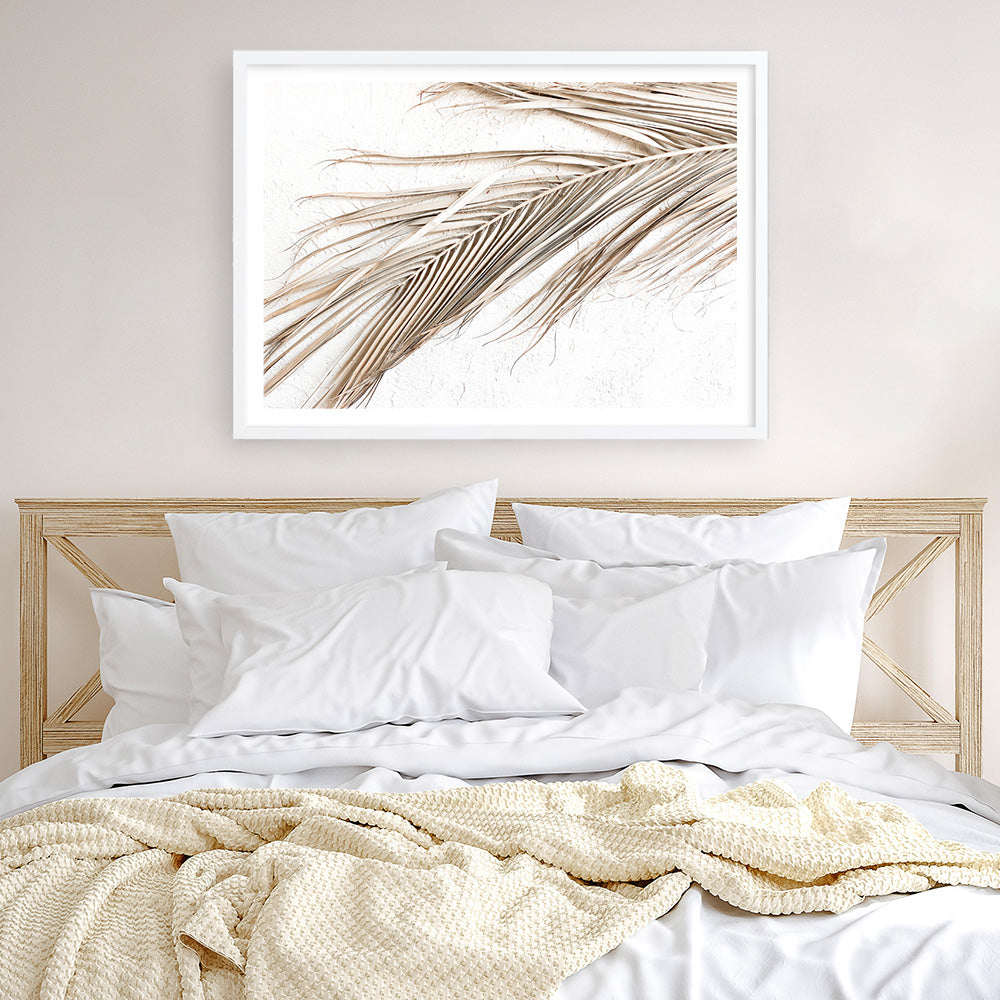 Shop Dried Palm Leaf I Photo Art Print a coastal themed photography wall art print from The Print Emporium wall artwork collection - Buy Australian made fine art poster and framed prints for the home and your interior decor, TPE-1234-AP