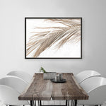 Shop Dried Palm Leaf I Photo Art Print a coastal themed photography wall art print from The Print Emporium wall artwork collection - Buy Australian made fine art poster and framed prints for the home and your interior decor, TPE-1234-AP