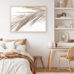 Shop Dried Palm Leaf I Photo Art Print a coastal themed photography wall art print from The Print Emporium wall artwork collection - Buy Australian made fine art poster and framed prints for the home and your interior decor, TPE-1234-AP