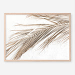Shop Dried Palm Leaf I Photo Art Print a coastal themed photography wall art print from The Print Emporium wall artwork collection - Buy Australian made fine art poster and framed prints for the home and your interior decor, TPE-1234-AP