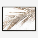 Shop Dried Palm Leaf I Photo Art Print a coastal themed photography wall art print from The Print Emporium wall artwork collection - Buy Australian made fine art poster and framed prints for the home and your interior decor, TPE-1234-AP