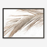 Shop Dried Palm Leaf I Photo Art Print a coastal themed photography wall art print from The Print Emporium wall artwork collection - Buy Australian made fine art poster and framed prints for the home and your interior decor, TPE-1234-AP