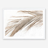Shop Dried Palm Leaf I Photo Art Print a coastal themed photography wall art print from The Print Emporium wall artwork collection - Buy Australian made fine art poster and framed prints for the home and your interior decor, TPE-1234-AP