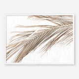 Shop Dried Palm Leaf I Photo Art Print a coastal themed photography wall art print from The Print Emporium wall artwork collection - Buy Australian made fine art poster and framed prints for the home and your interior decor, TPE-1234-AP
