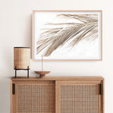 Shop Dried Palm Leaf I Photo Art Print a coastal themed photography wall art print from The Print Emporium wall artwork collection - Buy Australian made fine art poster and framed prints for the home and your interior decor, TPE-1234-AP