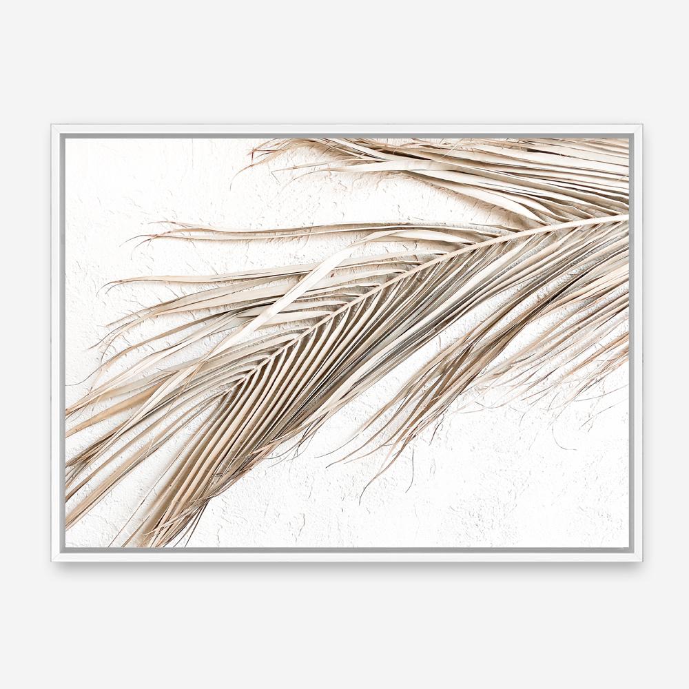 Shop Dried Palm Leaf I Photo Canvas Print a coastal themed photography framed stretched canvas print from The Print Emporium wall artwork collection - Buy Australian made prints for the home and your interior decor space, TPE-1234-CA-35X46-NF