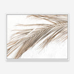 Shop Dried Palm Leaf I Photo Canvas Print a coastal themed photography framed stretched canvas print from The Print Emporium wall artwork collection - Buy Australian made prints for the home and your interior decor space, TPE-1234-CA-35X46-NF