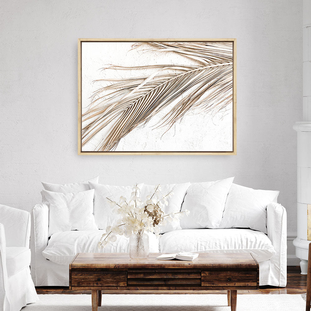 Shop Dried Palm Leaf I Photo Canvas Print a coastal themed photography framed stretched canvas print from The Print Emporium wall artwork collection - Buy Australian made prints for the home and your interior decor space, TPE-1234-CA-35X46-NF