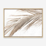 Shop Dried Palm Leaf I Photo Canvas Print a coastal themed photography framed stretched canvas print from The Print Emporium wall artwork collection - Buy Australian made prints for the home and your interior decor space, TPE-1234-CA-35X46-NF